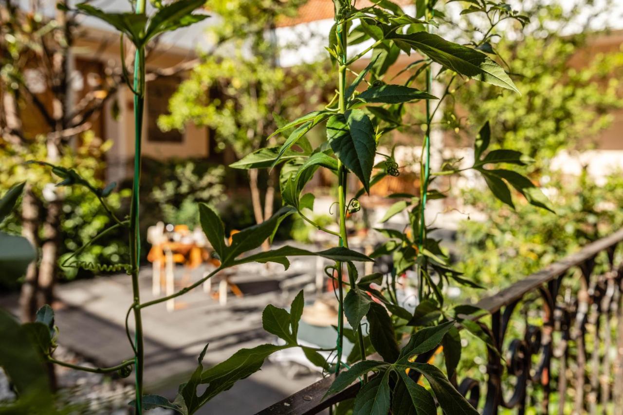 Casa Tuna Мехико Экстерьер фото